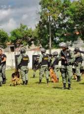 Agentes de segurança pública concluem o Curso de Cinotecnia