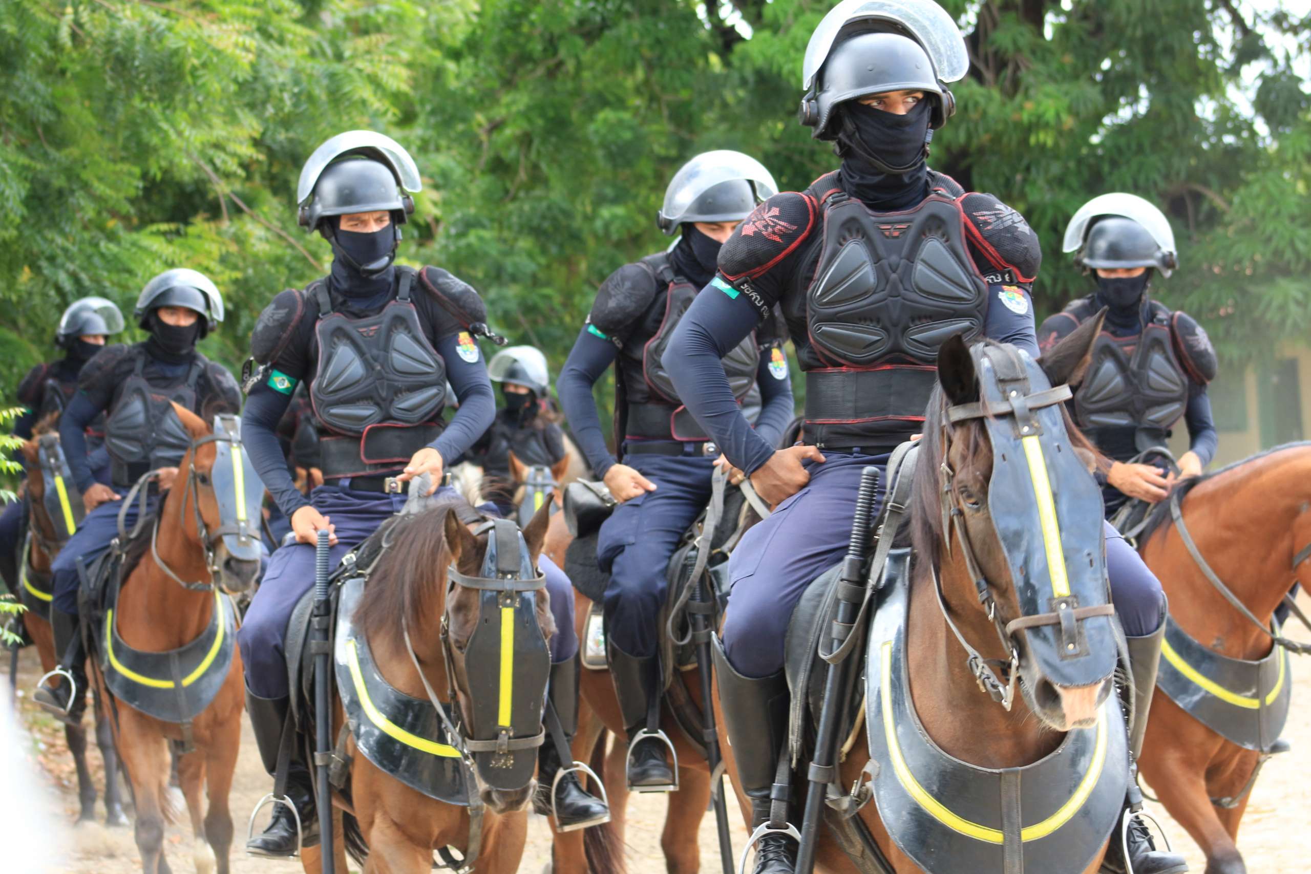 RPMont da PMCE comemora 183 anos de policiamento montado e serviços  prestados à sociedade - Secretaria da Segurança Pública e Defesa Social